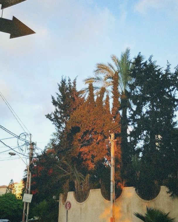 image10
